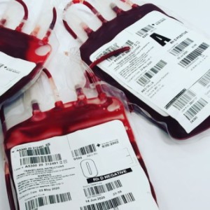 Blood ALS 2
