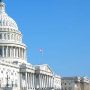 US Congress